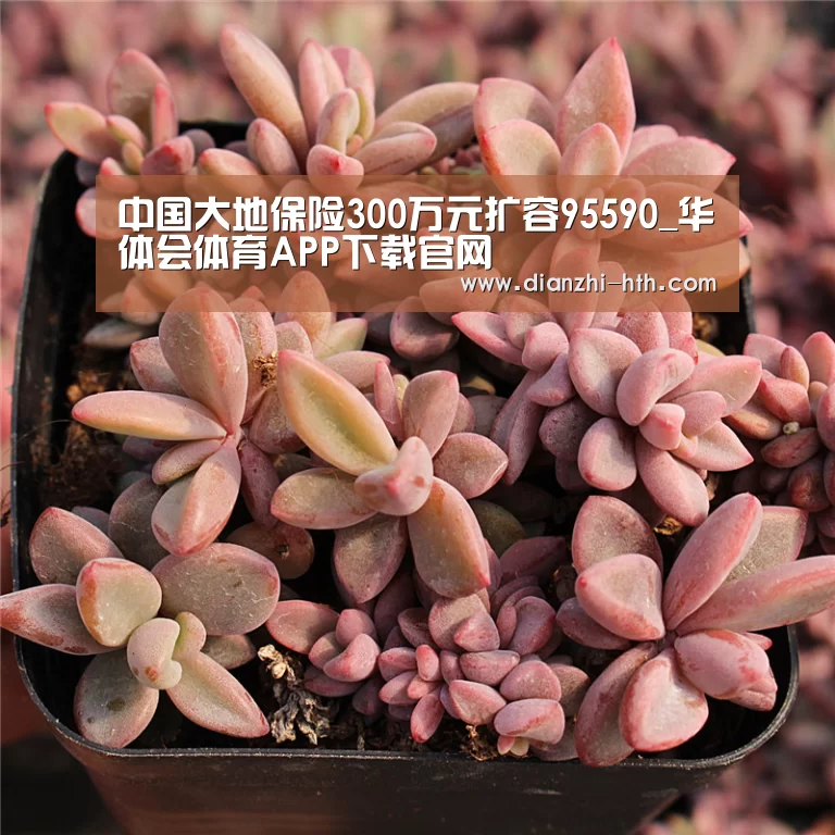 华体会体育APP下载官网