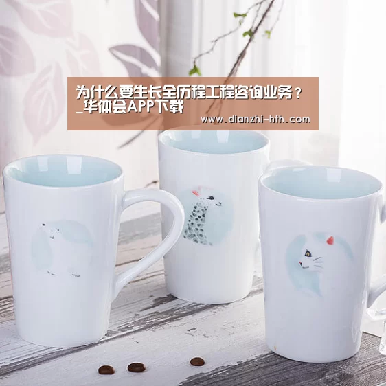 为什么要生长全历程工程咨询业务?_华体会APP下载(图1) 华体会体育官网入口
